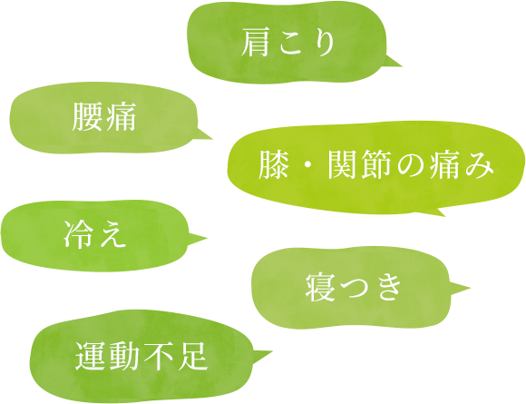 肩こり/腰痛/膝・関節の痛み/冷え/寝つき/運動不足